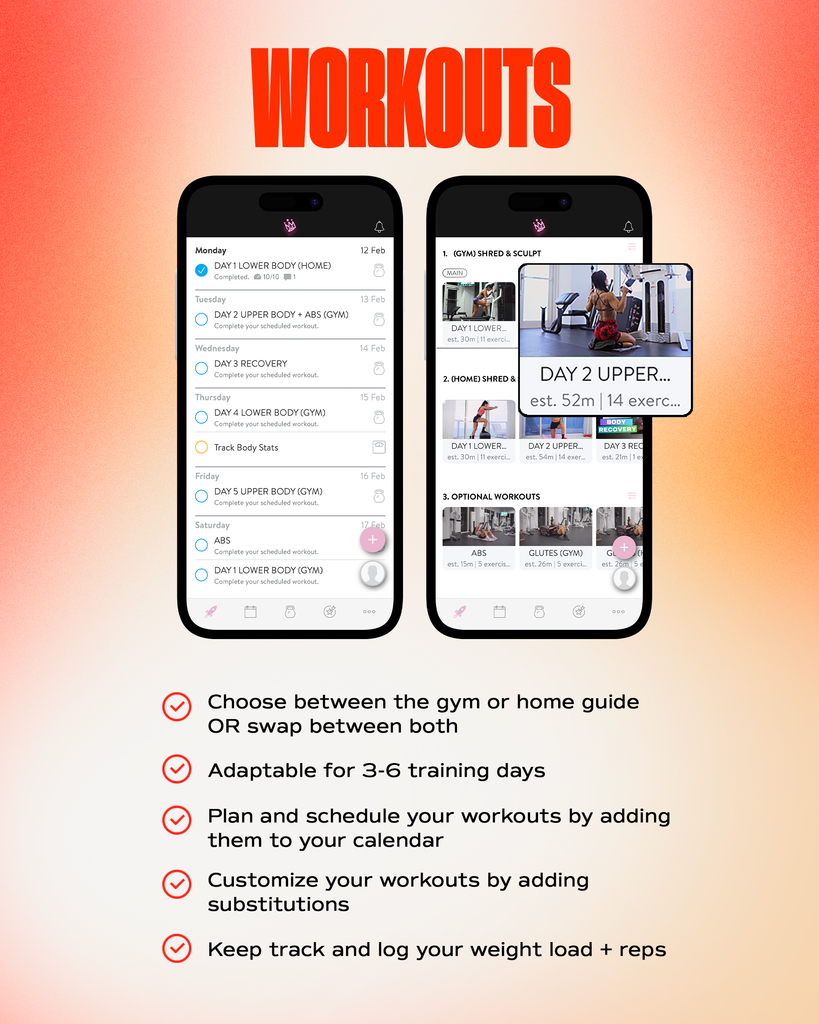 Shred & Sculpt Workout Guide